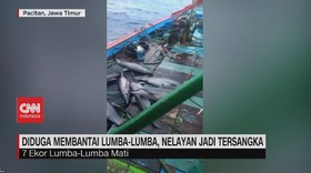 VIDEO: Diduga Membantai Lumba-lumba, Nelayan Dijadikan Tersangka