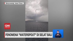 VIDEO: Fenomena 