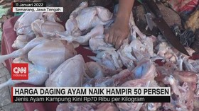VIDEO: Harga Daging Ayam Naik Hampir 50 Persen