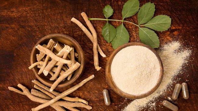 Ashwagandha dikenal sebagai ginseng India. Ashwaganda sudah digunakan sejak ribuan tahun lalu karena kaya manfaat untuk kesehatan.