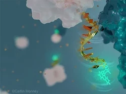 Ilmuwan Buat Antena Nano dari DNA, Terkecil yang Pernah Ada