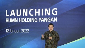 Beda Holding BUMN Pangan dan Badan Pangan Nasional