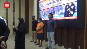 VIDEO: Nahkoda Kapal Jadi Tersangka Pembantaian 7 Lumba-Lumba