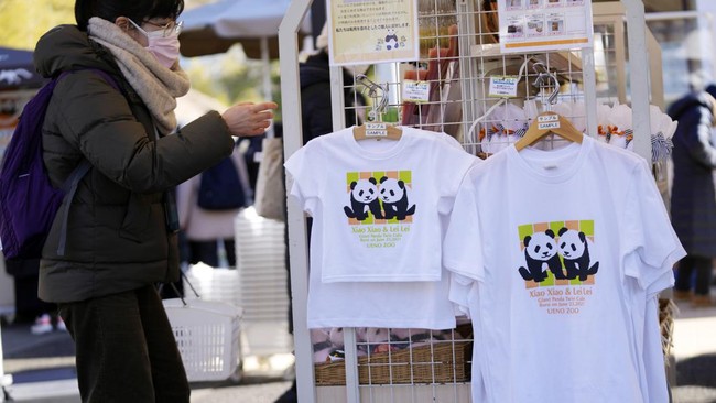 FOTO: Debut Bayi Panda Kembar di Kebun Binatang Tokyo