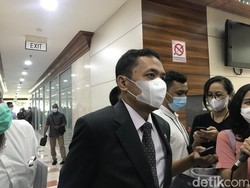 Gerindra soal Prabowo Bertemu SBY: Masa Hanya Ngomong Kuda, Nggak Gitu
