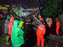 Pohon Tumbang Timpa 4 Toko Kelontong-Warteg di Bekasi