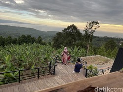 Satu-satunya di Indonesia, Kafe di Puncak Bukit Berlanskap Pantai