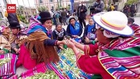 VIDEO: Rayakan Hari Akulliku, Perempuan Bolivia Kunyah Daun Koka