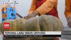 VIDEO: Tepung Labu Bikin Untung