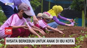 VIDEO: Wisata Berkebun Untuk Anak di Ibu Kota