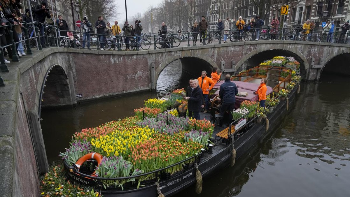 FOTO: Bunga Tulip Gratis, Pengobat Hati Warga Belanda Usai Lockdown
