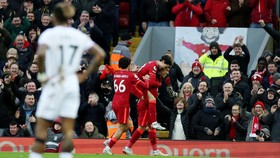 Hasil Liga Inggris: Tanpa Salah, Liverpool Hajar Brentford 3-0
