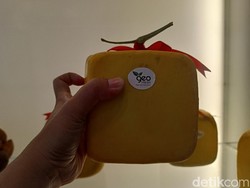 Ada Toko Unik di Surabaya yang Jual Melon Kotak hingga Buah Naga Kuning