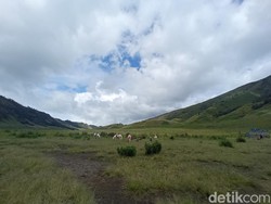 9 Tempat Wisata Menarik Saat Jalan-jalan ke Malang dan Sekitarnya