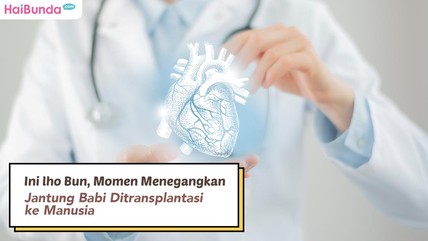 Detik Network