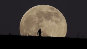 Purnama Serigala 'Lahap' Mars Malam Ini, Cek Jadwal dan Cara Lihatnya