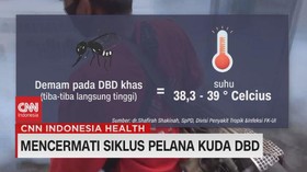 VIDEO: Mencermati Siklus Pelana Kuda DBD