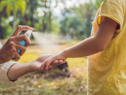 6 Cara Putus Daur Hidup Nyamuk Agar Si Kecil Aman dari Penyakit