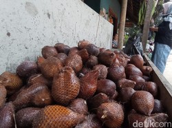 Mengenang Masa Keemasan Salak Cineam Tasik yang Kini Kalah Pamor