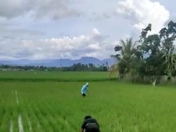 Kocak! 2 Pemuda Gorontalo Nyamar Jadi Petani Hindari Razia Polisi