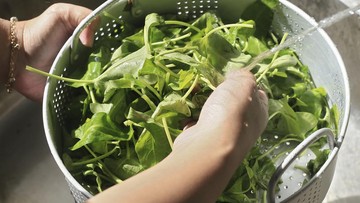 SYOK HARGA KANGKUNG SEGINI