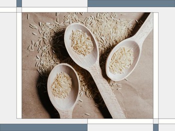 Kami Mencoba: Seminggu Tanpa Nasi