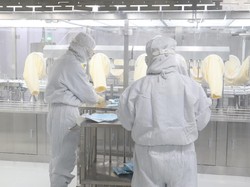 Bioteknologi: Pengertian, Jenis, Peran dan Contoh Penerapan