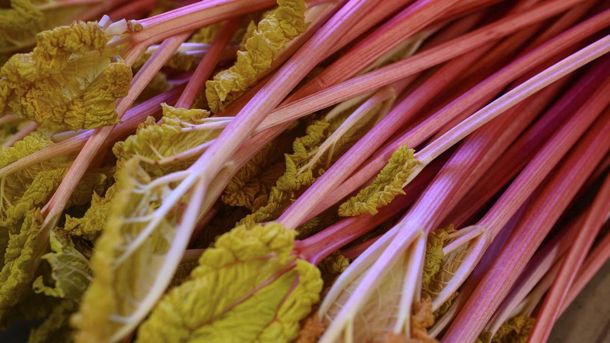 7 Makanan Ini Tak Boleh Dimakan Penderita Batu Ginjal, Tinggi Oksalat