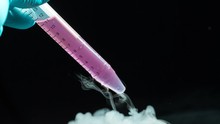 Proses Pembekuan Sel Telur atau Egg Freezing, Sperma, dan Embrio
