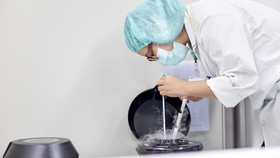 Ramai Lagi Gara-gara Luna Maya, Berapa Biaya Egg Freezing di RI?