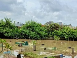 Pengurus Makam Ungkap TPU Kober Jakbar Langganan Banjir Sejak 2002