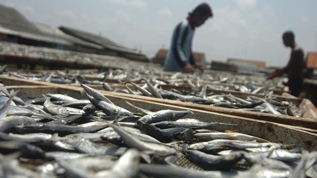 Nelayan mengaku tak diajak bicara soal rencana pembatasan kuota penangkapan ikan yang akan diterapkan Kementerian Kelautan dan Perikanan pada Januari 2023.