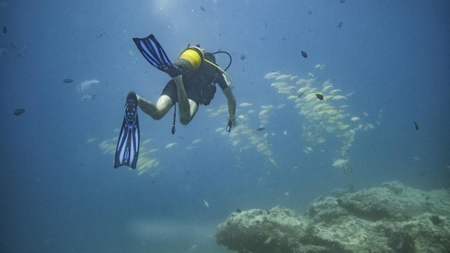 Ahli masih meneliti munculnya lubang raksasa di Samudra Arktik yang diduga bisa memicu pergerakan dasar laut itu.