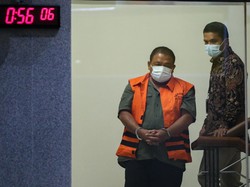 BKSDA Sita Orang Utan dari Rumah Bupati Langkat
