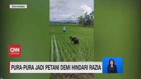 VIDEO: Pura-pura Jadi Petani Demi Hindari Razia
