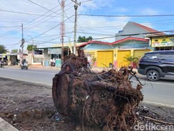 Dinas PUPR Depok Akan Angkut Batang Pohon Sisa Penebangan Pekan Depan