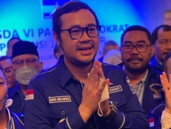 Mundur dari Demokrat, Menantu Pakde Karwo Sindir AHY Sambil Puji Ibas