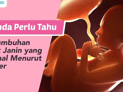 Bunda Perlu Tahu, Pertumbuhan Berat Janin yang Normal Menurut Dokter