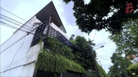 7 Potret Rumah 3 Lantai Vidi Aldiano, Hijau Banyak Tumbuhan Bun