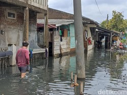 8 RT di Tegal Alur Jakbar Masih Banjir Siang Ini, 993 Jiwa Mengungsi