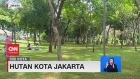 VIDEO: Menhilangkan Penat di Hutan Kota Jakarta