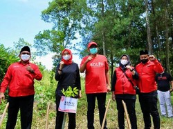 Bupati Ipuk dan Wabup Sugirah Geber Taman Pohon Gandeng PDIP Banyuwangi