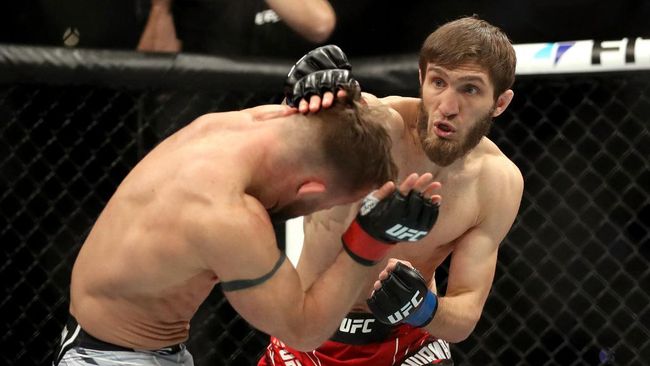 Impresif di UFC 270, Said Nurmagomedov Hajar Stamann di Ronde 1 Said Nurmagomedov menang submission dengan guillotine choke atas Cody Stamann dalam salah satu duel main card UFC 270 di Honda center, Minggu (23/1).