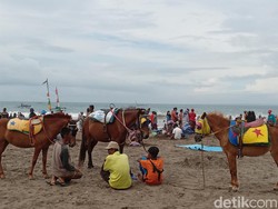 Catat! 10 Kecamatan di Pangandaran Rawan Bencana Alam