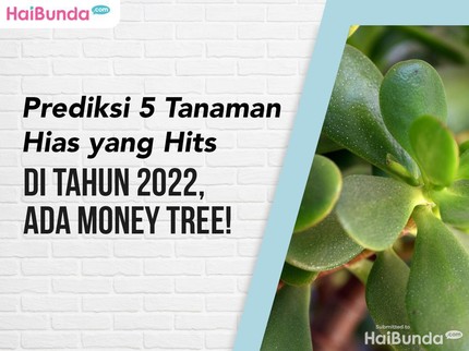 Prediksi 5 Tanaman Hias yang Hits di Tahun 2022, Ada Money Tree!