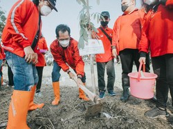 PDIP Surabaya Bareng Walkot Eri Cahyadi Tanam Pohon di Ultah Ketum Megawati