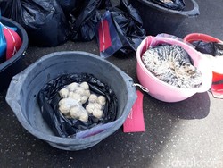 Demi Cuan, Pasutri di Bantul Jualan Bakso Ayam Tiren dari 2015