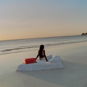 Rimowa Rilis Koleksi Koper Terbaru Terinspirasi Keindahan Lanskap Afrika dan Flamingo