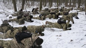 7 Negara Uni Eropa Larang Warganya Bertempur di Ukraina