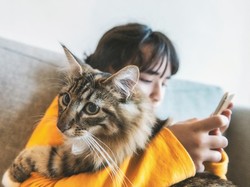 Wanita Simpan 159 Kucing di Apartemen Picu Keributan, Ternyata Idap Kondisi Ini